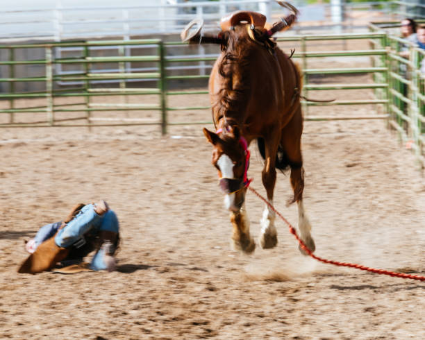 istock Action shot as cowboy falls from rodeo horse 990932476