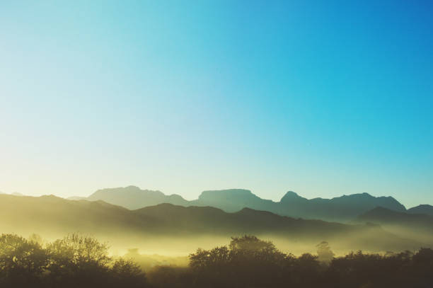 lever de soleil jaune sur cape winelands arbre misty silhouette tôt le matin et scène de montagne - panoramic landscape south africa cape town photos et images de collection