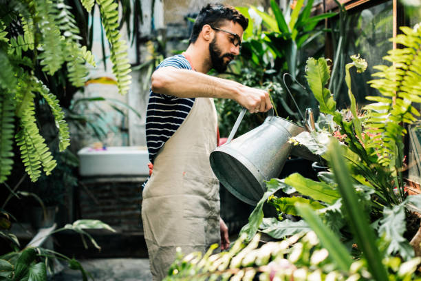 homem branco, cuidando das plantas - entrepreneur lifestyles nature environment - fotografias e filmes do acervo