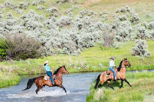 Young women run their horses through a river surrounded by early spring green grass fields.