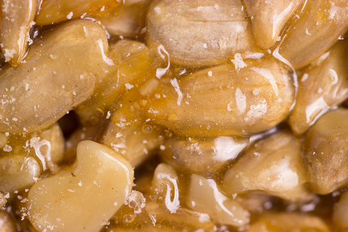 Kozinaki made from sunflower seeds in a sugar syrup as a food background or texture.