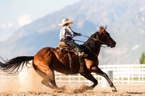 Young boy practices barrel racing in a paddock on ranch Young boy practices barrel racing in a paddock on ranch barrel racing stock pictures, royalty-free photos & images