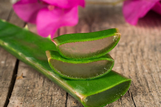 istock sliced green aloe vera 990984700