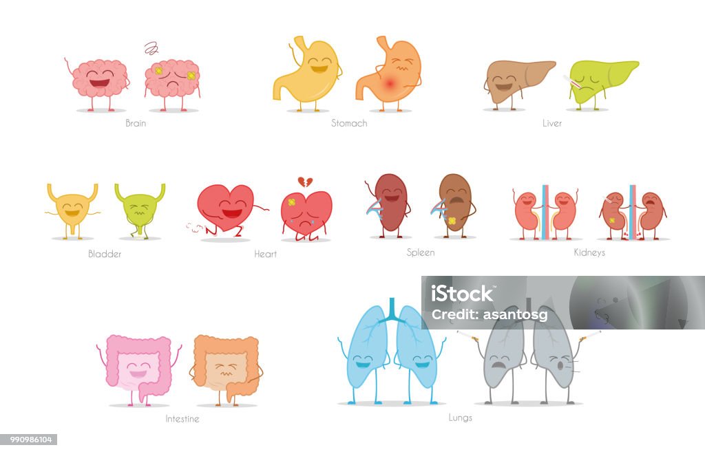 Set of healthy and sick human organs in cartoon style. Vector illustration Child stock vector