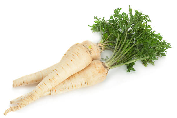 Parsnip root with leaf stock photo