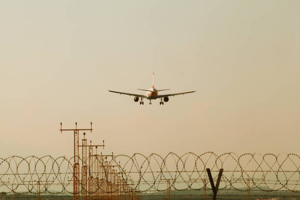 istock Plane landing - summer airport 990990714