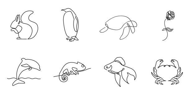 Collection of one line logos or icons Collection of one line logos or icons. Includes squirrel pinguin turtle rose dolphin chameleon fish and crab minimalistic illustartions chameleon stock illustrations