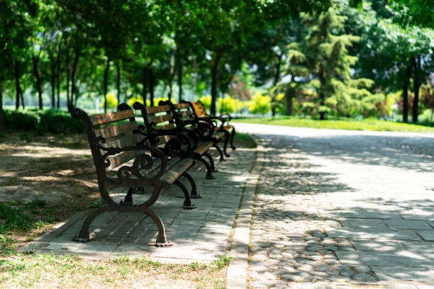 istock park bench at roadside in public park 990996988