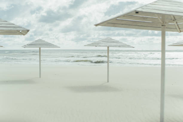 istock Wooden beach umbrellas 991002728