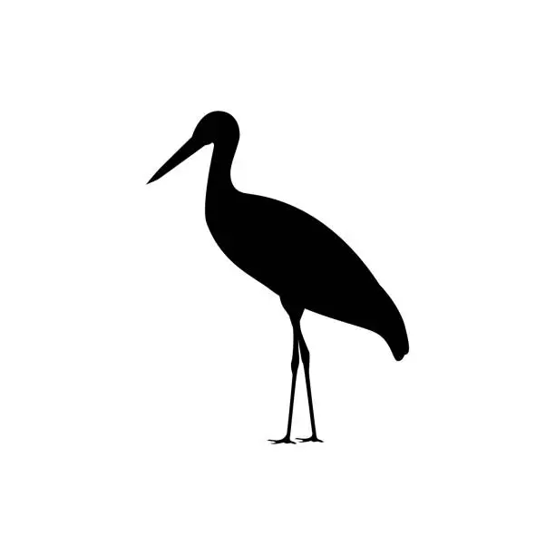 Vector illustration of stork bird