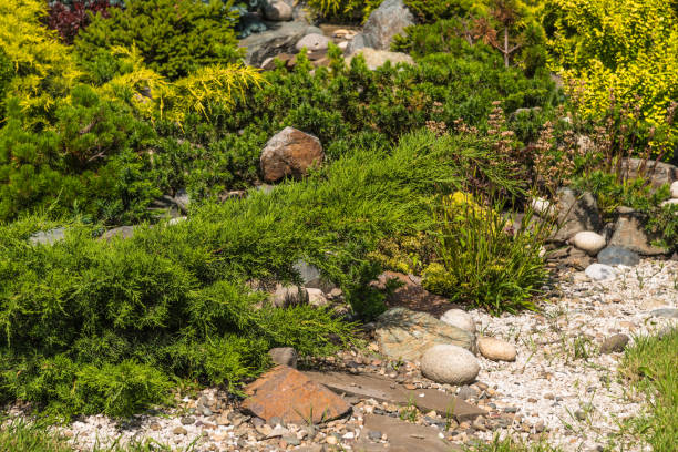 istock Element of landscape design - rockeries with mountain plants and stones 991007352