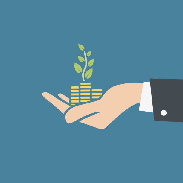 Vector illustration of human hand holding stacks of coins and growth plant. Transparent background, ready to use. Vector illustration of human hand holding stacks of coins and growth plant. Transparent background, ready to use. savings illustrations stock illustrations