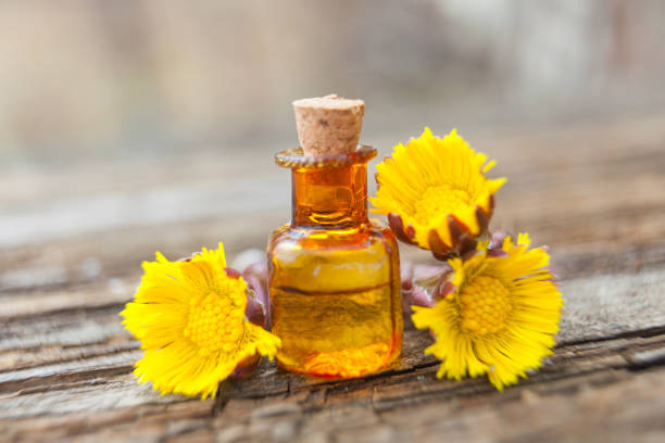 istock foalfoot essential oil in  beautiful bottle on table 991055912
