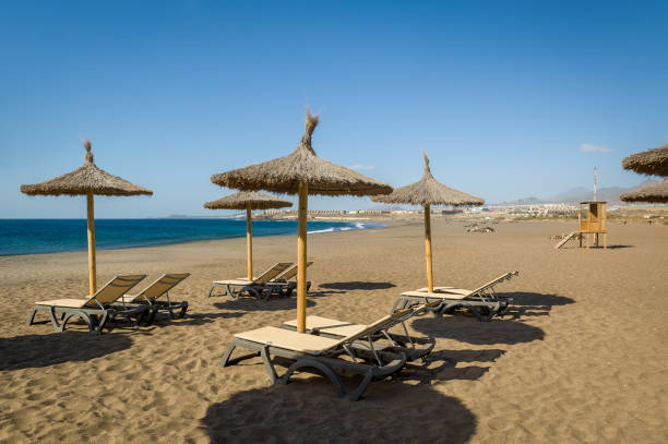 istock Long sand beach at Tenerife island 991056334