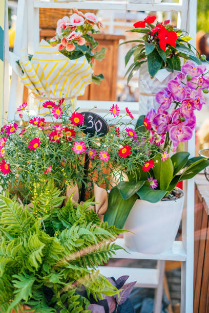 istock Beautiful bouquets at flower market 991063810