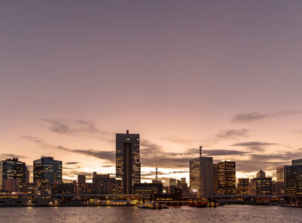 istock Town in Tokyo at dusk 991068126