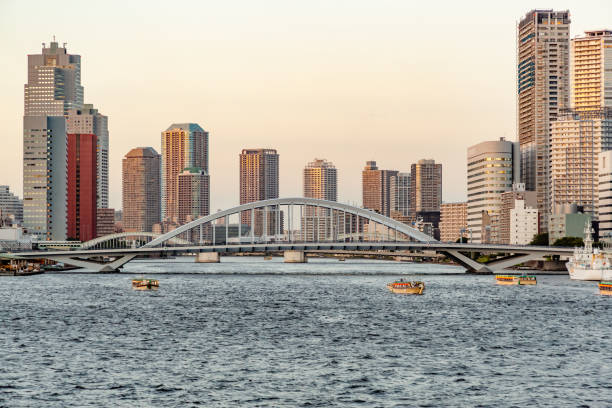 istock Town in Tokyo at dusk 991068292