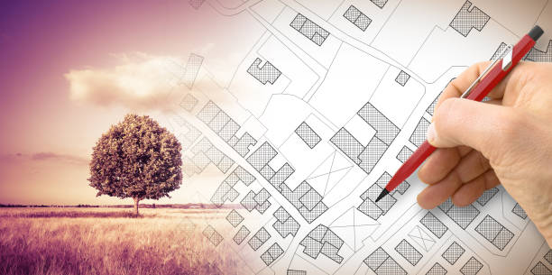 istock Hand drawing an imaginary cadastral map of territory with a tree on background - 