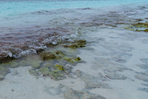 istock Tropical beach at lagoon in Maldives 991080072