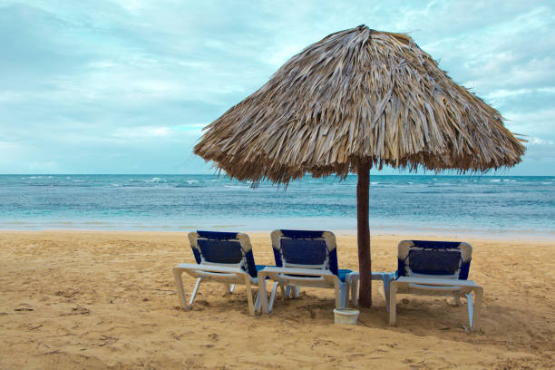 istock Three beach lounge on a beautiful tropical beach 991083246