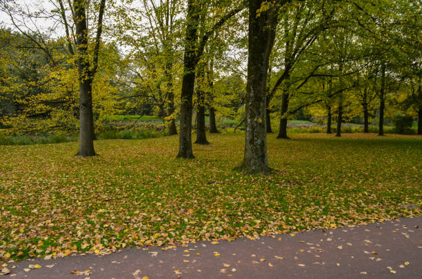 istock Urban park in Amsterdam 991090878