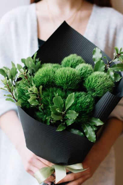 灰色の背景に緑のカーネーションの美しい新鮮な花花束を保持しているとても素敵な若い女性 - flower head botany florist forest ストックフォトと画像