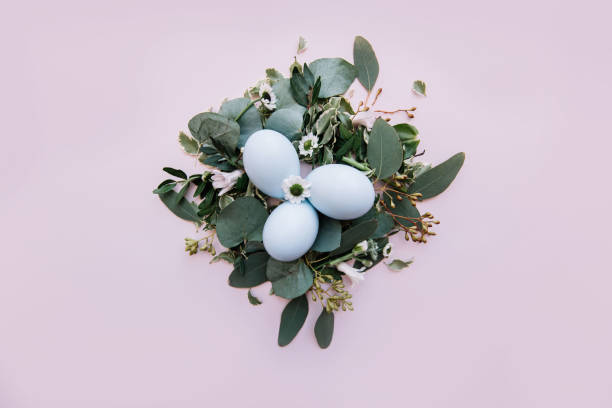 istock Beautiful and tender easter setup: three light blue easter eggs in a nest made of eucalyptus leaves, flowers and branches on the tender pastel pink background, top view, flat lay 991096206