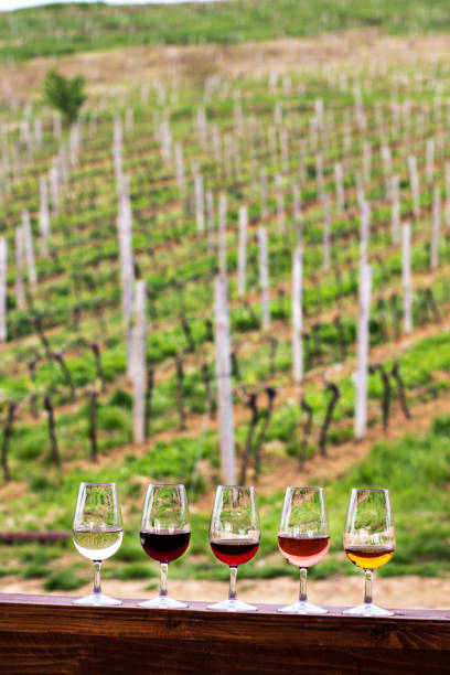 istock Glasses with wine. Red, pink, white wine in glasses. 991107366