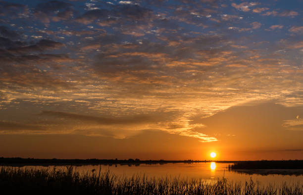istock Florida Everglades at Sunset with Golden Sky 991108728