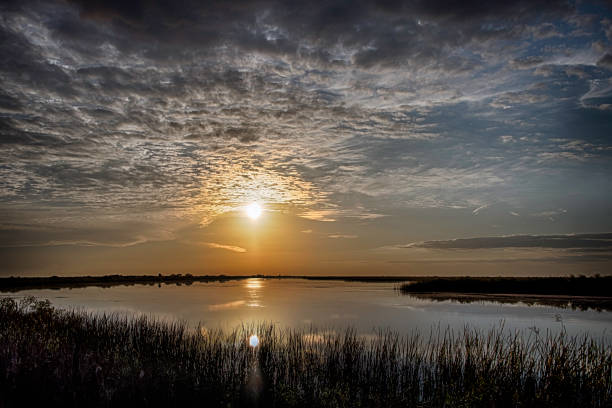 istock Florida Everglades at Sunset with Golden Sky 991109250