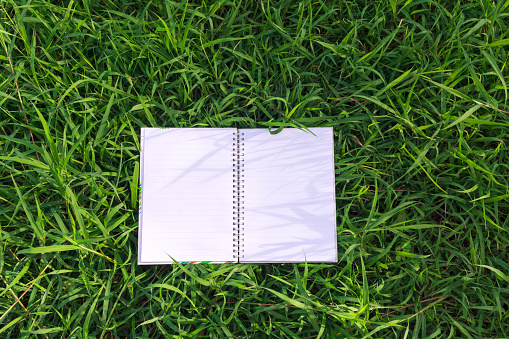 Top view of open book on grass field background.
