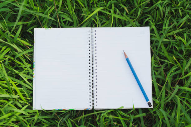 Top view of open book. Book open with pencil on grass field background.