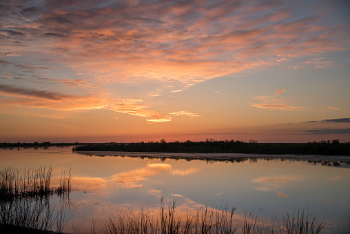 Florida Everglades at sunset with light reflecting off the water, blue skies and clouds,  conservation