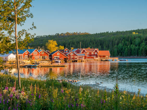 archipel suédois à norrfallsviken, secteur de la haute côte dans la partie nord de la suède en été. - norrland photos et images de collection