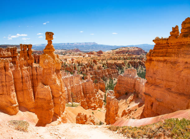 bellissimo paesaggio montano. famoso hoodoo martello di thor. - bryce canyon national park foto e immagini stock