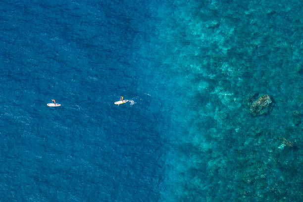 istock Aerial view of people paddling on ocean. 991137814