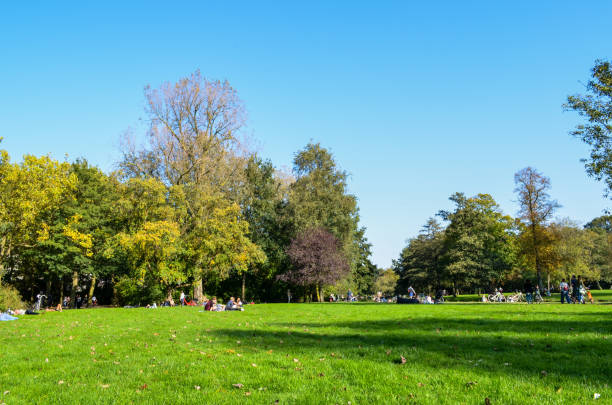 istock Urban park in Amsterdam 991141696
