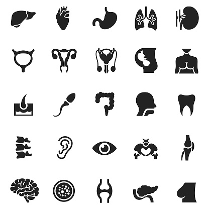 Human organs icon set