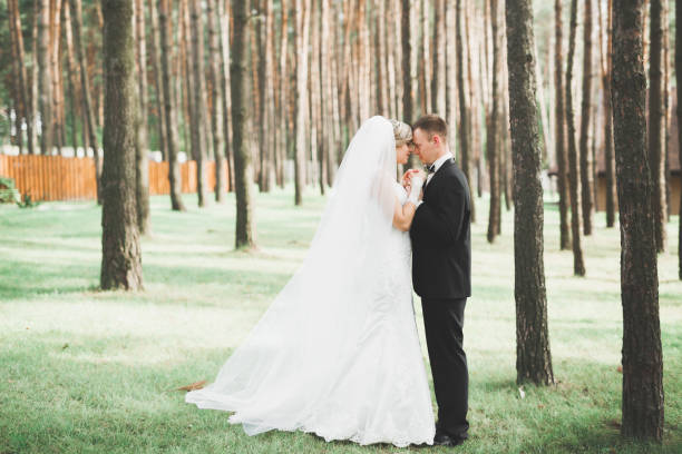istock Happy wedding couple walking in a botanical park 991191522