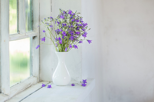 bluebells in vase on windowsill