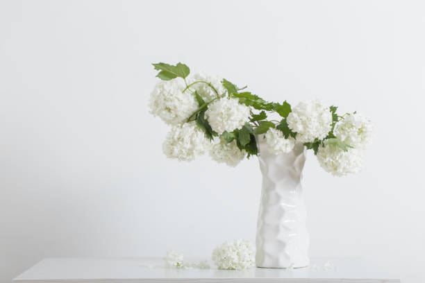 istock branches of decorative viburnum in a vase on white background 991204334