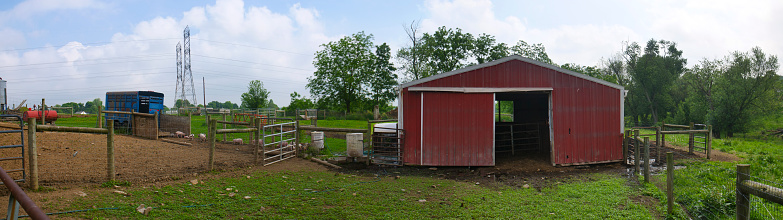 Pig Farm Fenced Pen Red Barn Panoramic