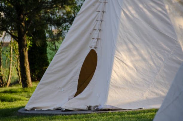 istock Solitary Tipi Standing Among the Trees 991214640