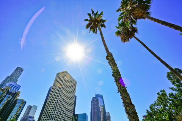 istock The financial district in Los Angeles on a sunny day. 991219036