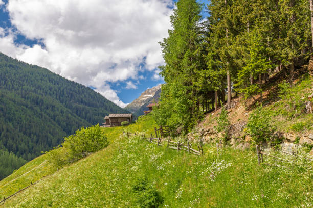 istock Mountain farm, Ulten Valley, South Tyrol 991238928