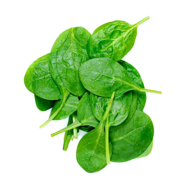 istock Spinach leaves. Fresh Green spinach isolated on a white background close up