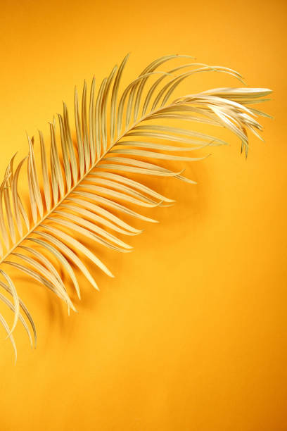 istock Golden tropical leaf on yellow, concept exotic 991281826