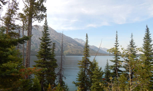 istock Jenny Lake Grand Tetons 991281852
