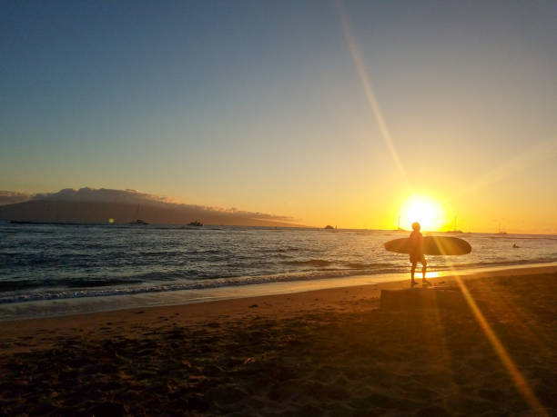 istock Silhouette of Surfer at Sunset 991281866