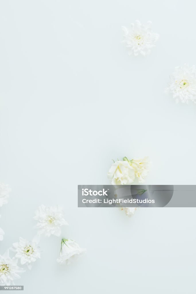 Vista Superior De Flores Blancas Hermosas Dispuestas En Leche Foto de stock  y más banco de imágenes de Amor - iStock